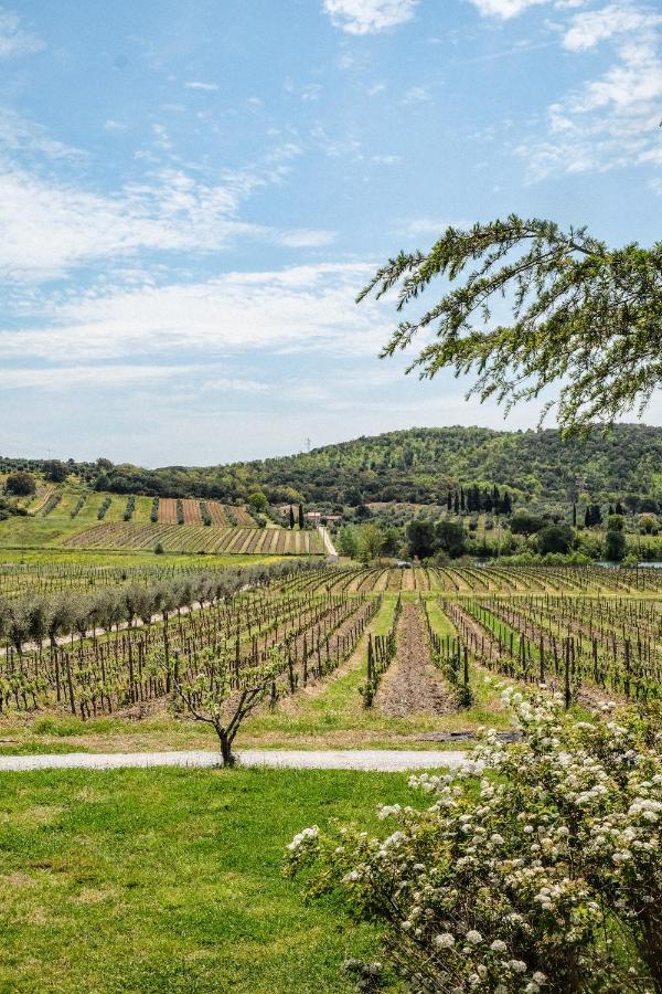 Agriturismo Biologico Bulichella Suvereto Exterior photo